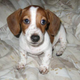 Frankie’s face which would later go on to become a Twitch emote.
